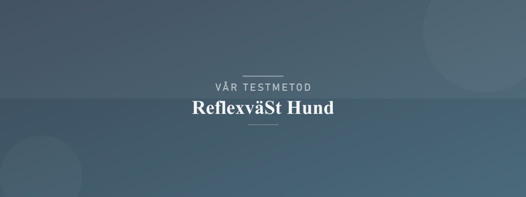 Så testar vi reflexväst hund