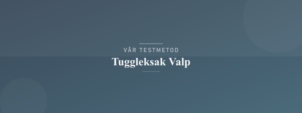 Så testar vi tuggleksak valp