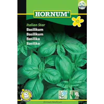 Citronbasilika 'lemon' – Största bladen – basilika bäst i test 2026