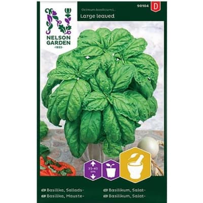 Salladsbasilika, Storbladig – Bäst i test – basilika bäst i test 2026