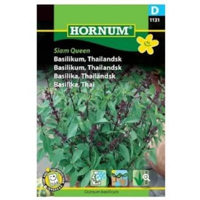 Thailändsk Basilika 'siam Queen' – Toppklassval – basilika bäst i test 2026