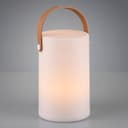 Batteridriven Utomhusdekorationslampa Aruba Rgb