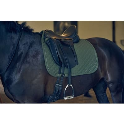 Catago Dressyrschabrak Urban Tech-serien – Budgetfavorit – dressyrschabrak bäst i test 2026