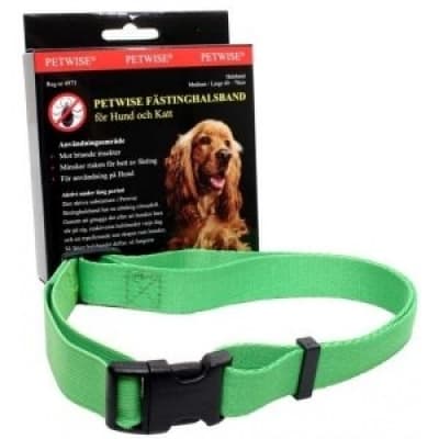 Petwise Fästinghalsband Hund – Bäst i test – fästinghalsband hund bäst i test 2026