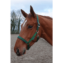 Bucas Dublin Grimma -  Grön/blå (emerald)