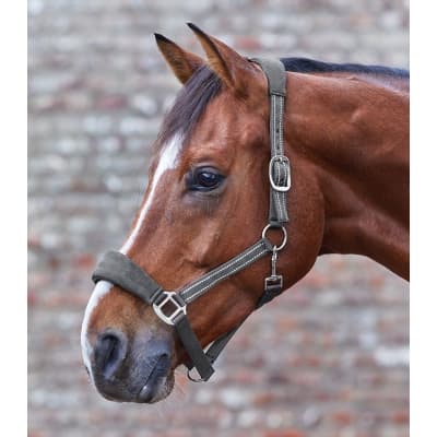 Waldhausen Alcantara Grimma – Budgetfavorit – grimma bäst i test 2026