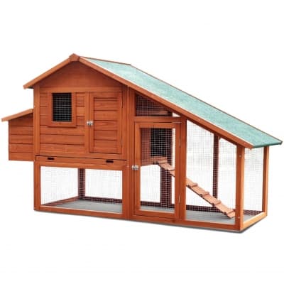 Stort Hönshus Med Hönsgård – Luftigaste valet – hönshus bäst i test 2026