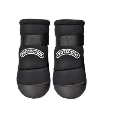 Hundsko I Neopren – Prispressat fynd – hundskor vinter bäst i test 2026