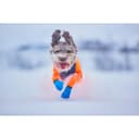 Non-stop Long Distance Bootie Hundstrumpa