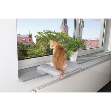 Fönsterbräda För Katt