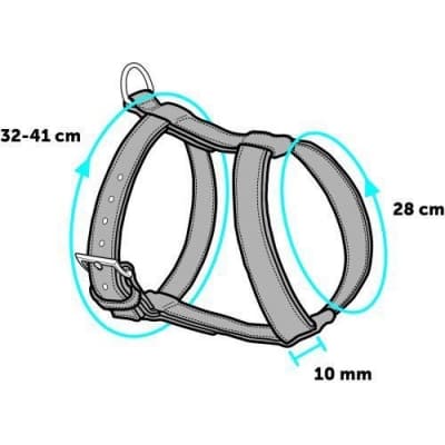 Aveo Kattsele Med Koppel Orange/svart – Budgetval – kattsele bäst i test 2026