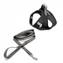 Basic Cat Sporty Sele + Koppel Svart