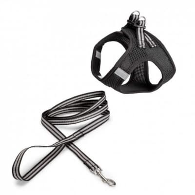 Basic Cat Sporty Sele + Koppel Svart – Bäst med reflex – kattsele rymningssäker bäst i test 2026