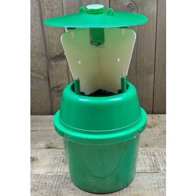 Hallonängerfälla – Effektiv mot hallonänger – klisterskiva insektsfälla bäst i test 2026