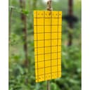 Klisterskiva Mot Ohyra, 5-pack