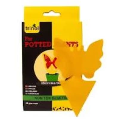 Trinol Flug- Och Insektfällor – Bäst i test – klisterskiva insektsfälla bäst i test 2026