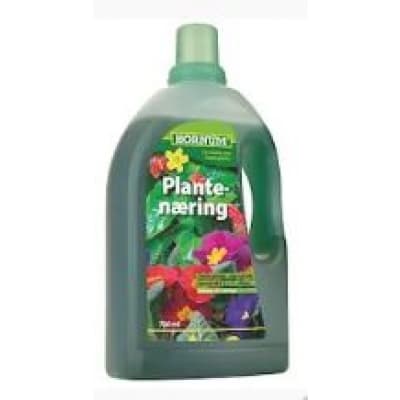 Hornum Näring För Prydnadsväxter – Långverkande näring – krukväxtnäring bäst i test 2026