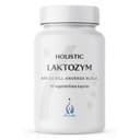 Holistic Laktozym