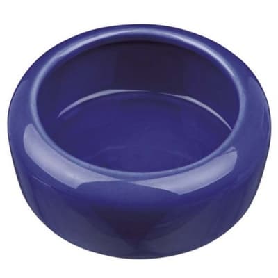 Matskål Till Gnagare – Budgettips – matskål kanin bäst i test 2026