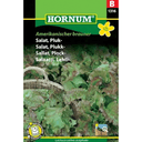 Plocksallat 'amerikanischer Brauner' Frö