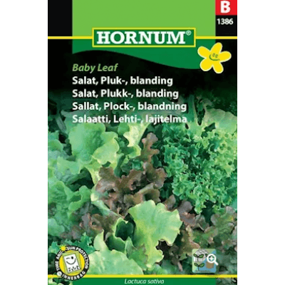 Plocksallat Mix 'baby Leaf' Frö – Lättaste starten – plocksallad bäst i test 2026