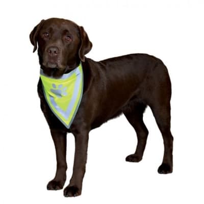Trixie Säkerhetsscarf Med Reflex – Toppval halsband – reflexväst hund bäst i test 2026
