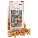 Gul Lök, Sättlök, Ekologisk