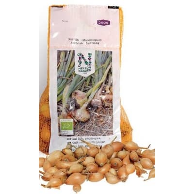 Gul Lök, Sättlök, Ekologisk – Toppklassval – sättlök bäst i test 2026