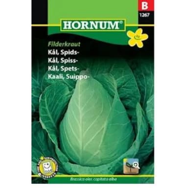 Spetskål Filderkraut