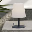 Star Trading Uppladdningsbar Bordslampa