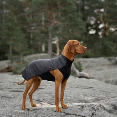 Feel Active Oslo Fleece Grå – Topp för synlighet – vintertäcke hund bäst i test 2026
