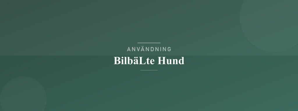 Användning bilbälte hund