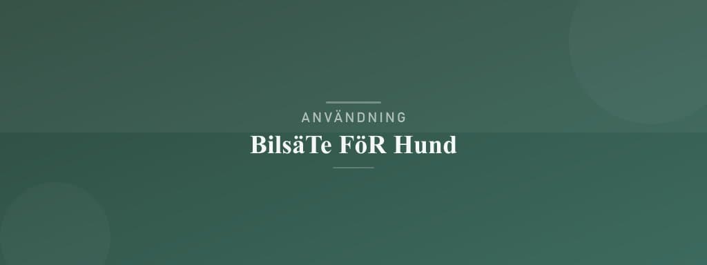 Användning bilsäte för hund