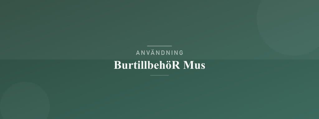 Användning burtillbehör mus
