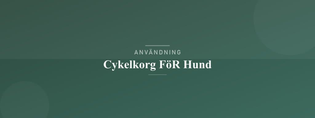 Användning cykelkorg för hund