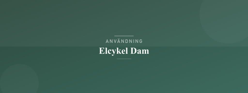 Användning elcykel dam