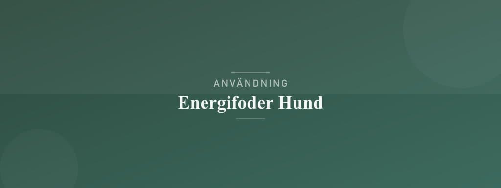 Användning energifoder hund