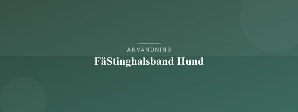 Användning fästinghalsband hund