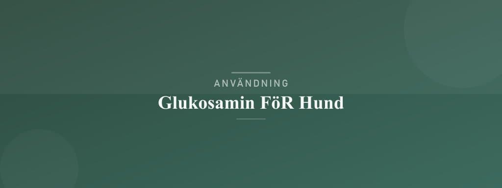 Användning glukosamin för hund