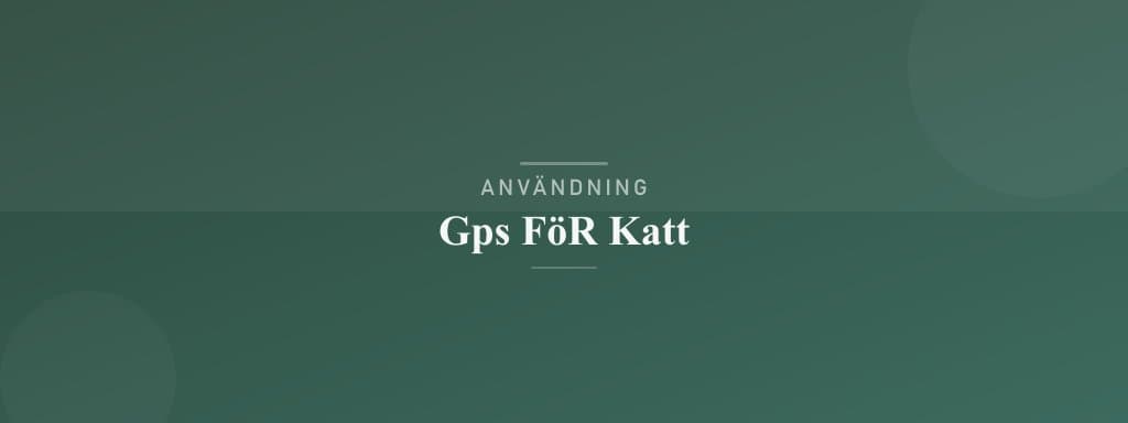 Användning av GPS för katt