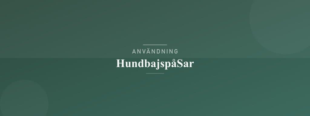 Användning hundbajspåsar