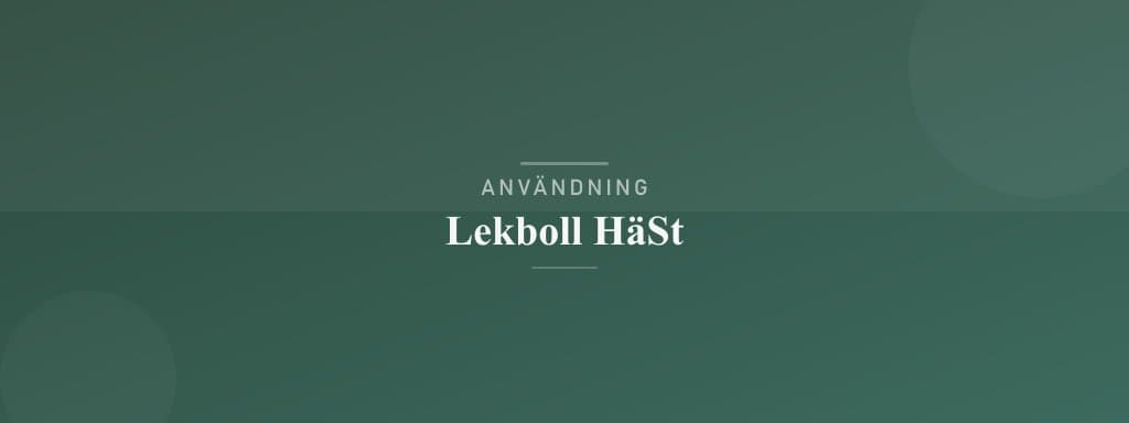 Användning lekboll häst