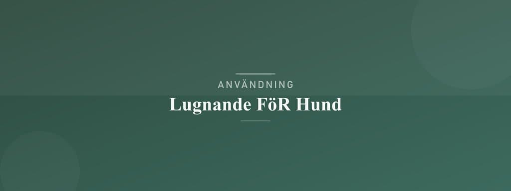 Användning lugnande för hund