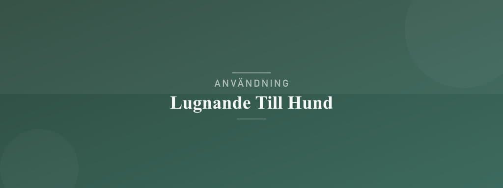Användning lugnande till hund