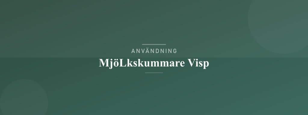 Användning mjölkskummare visp