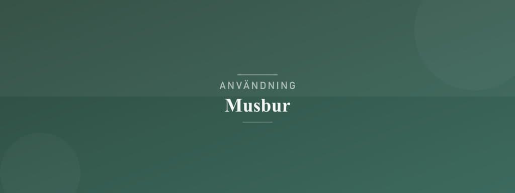 Användning musbur