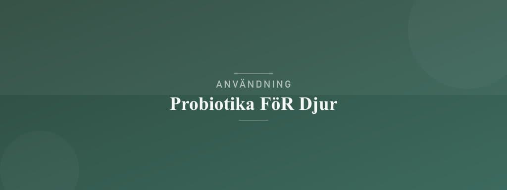 Användning probiotika för djur