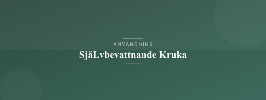 Användning självbevattnande kruka