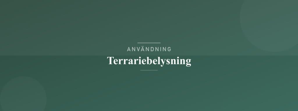 Användning terrariebelysning