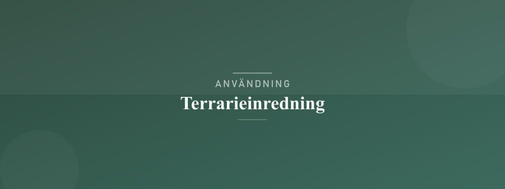 Användning terrarieinredning